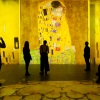 Gustav Klimt új dimenzióban: az immerzív művészeti élmény, ami aranyba borítja az érzékeket