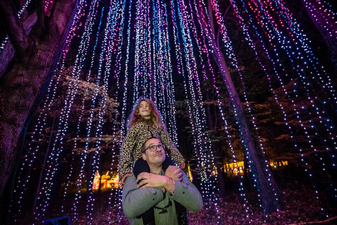 Garden of Lights - Fűvészkert - Jegyvásárlás itt!!